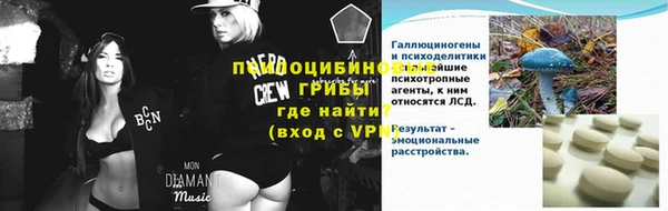 шишки Беломорск