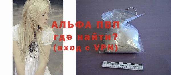 прущие грибы Богданович