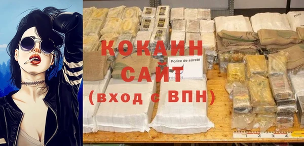 шишки Беломорск